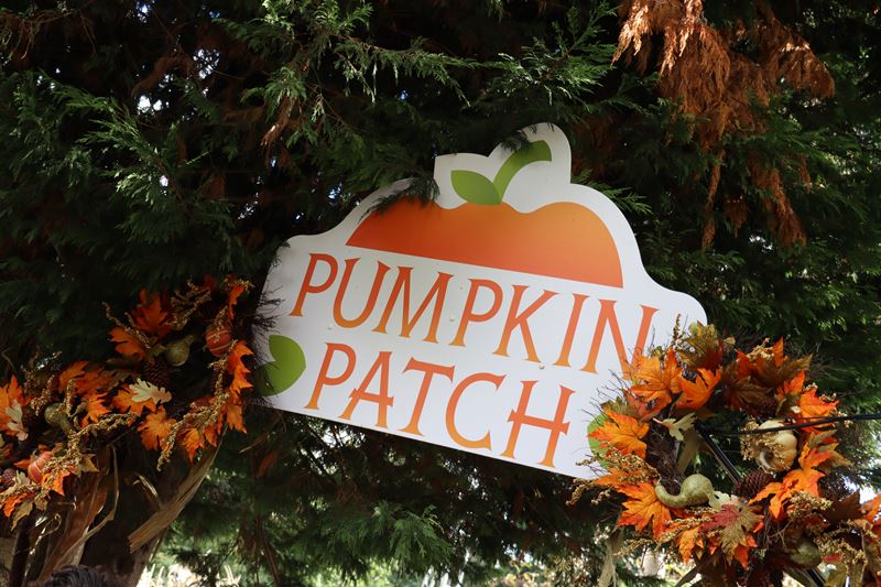 Pumpkin Patch - Howl'O'ween 2023